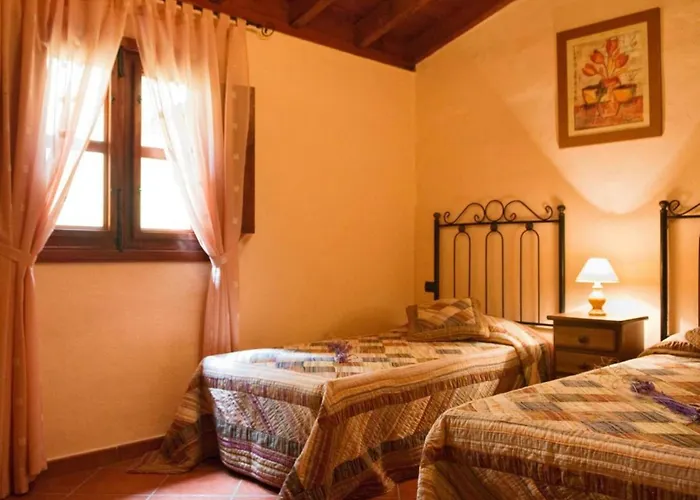 Live Icod La Icod De Los Vinos